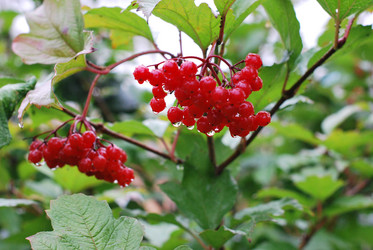 Similar image 805857