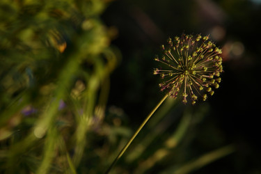 Similar image 805938