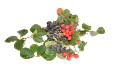 Similar image 806006