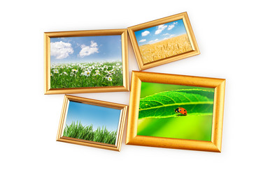 Similar image 806036