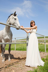 Similar image 806062