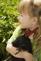 Similar image 806085