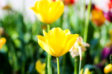 Similar image 806124