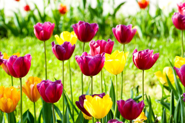 Similar image 806125