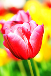 Similar image 806127