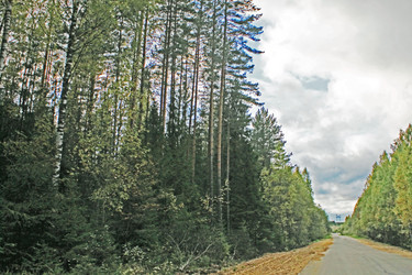 Similar image 806160