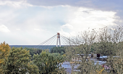 Similar image 806221