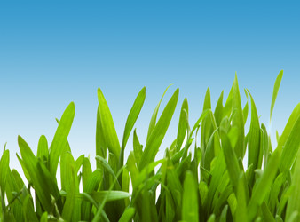 Similar image 806229