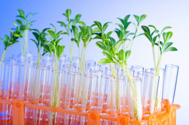 Similar image 806231