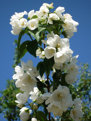 Similar image 806232