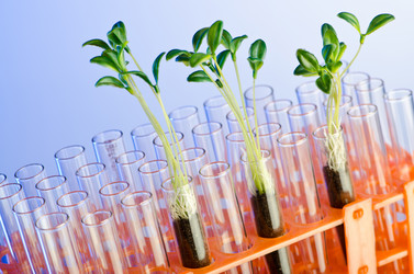 Similar image 806233