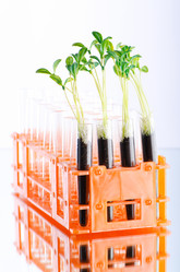 Similar image 806234