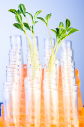 Similar image 806235