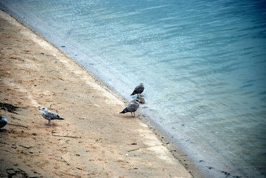 Similar image 806243