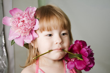 Similar image 806256