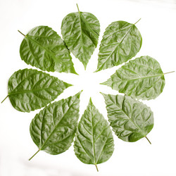 Similar image 806265