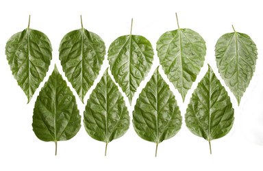 Similar image 806263