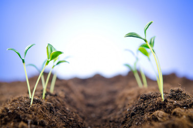 Similar image 806267