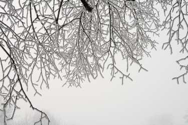 Similar image 806278