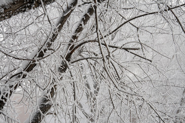 Similar image 806279