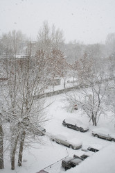 Similar image 806280