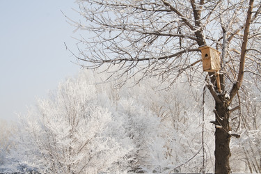 Similar image 806281