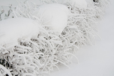 Similar image 806283