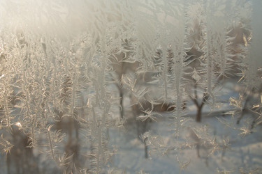 Similar image 806286