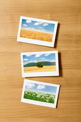 Similar image 806452