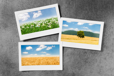 Similar image 806454