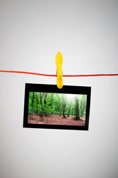 Similar image 806455