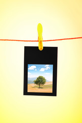 Similar image 806460