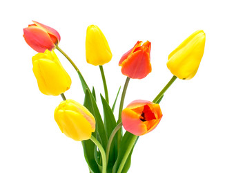 Similar image 806461