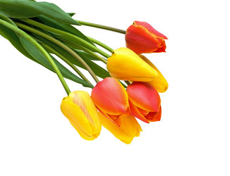 Similar image 806462