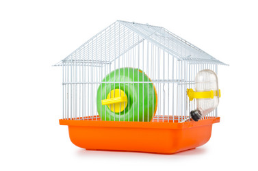 Similar image 806503