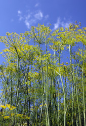 Similar image 806509