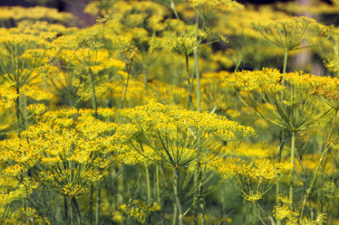 Similar image 806511