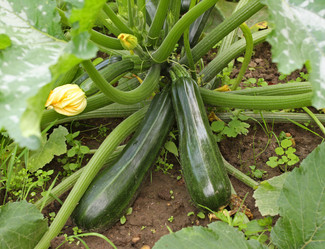 Similar image 806513