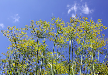 Similar image 806514