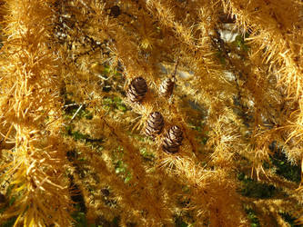 Similar image 806522