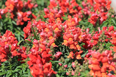 Similar image 806566