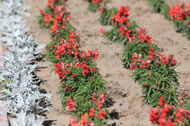 Similar image 806567