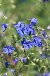 Similar image 806570