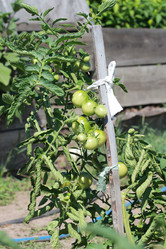 Similar image 806575