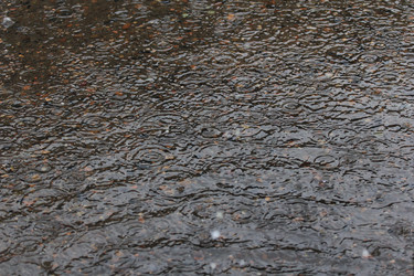 Similar image 806583