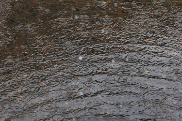 Similar image 806584