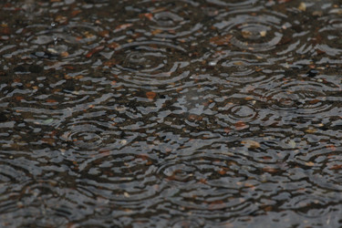 Similar image 806590