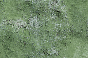 Similar image 806613