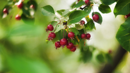 Similar image 806666