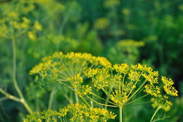 Similar image 806689